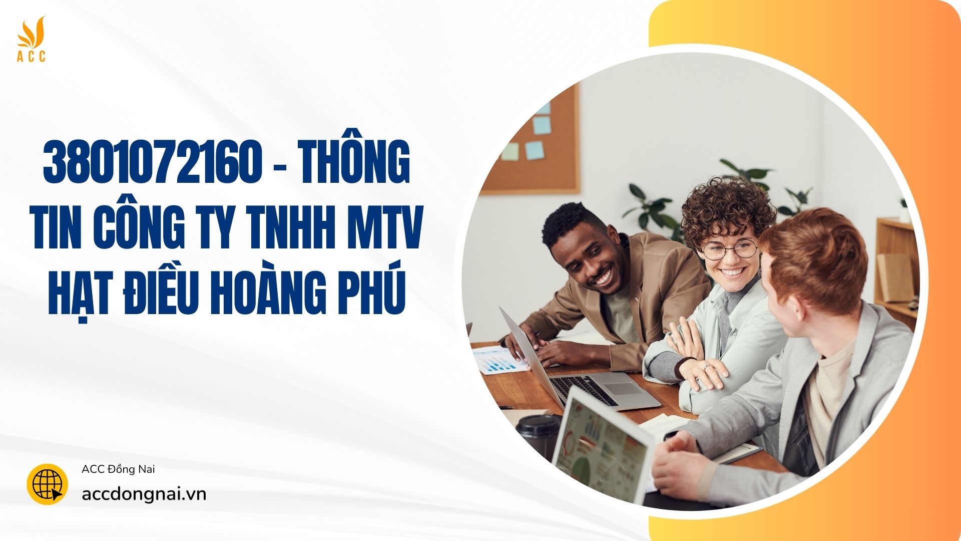 công ty tnhh mtv hạt điều hoàng phú