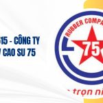 công ty tnhh mtv cao su 75