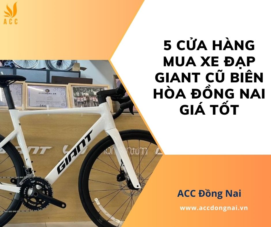 5 Cửa hàng mua xe đạp giant cũ Biên Hòa Đồng Nai giá tốt