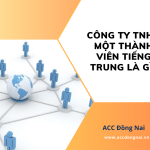 Công ty TNHH một thành viên tiếng Trung là gì