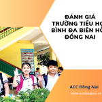 Đánh giá trường tiểu học Bình Đa Biên Hòa Đồng Nai