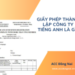 Giấy phép thành lập công ty tiếng Anh là gì
