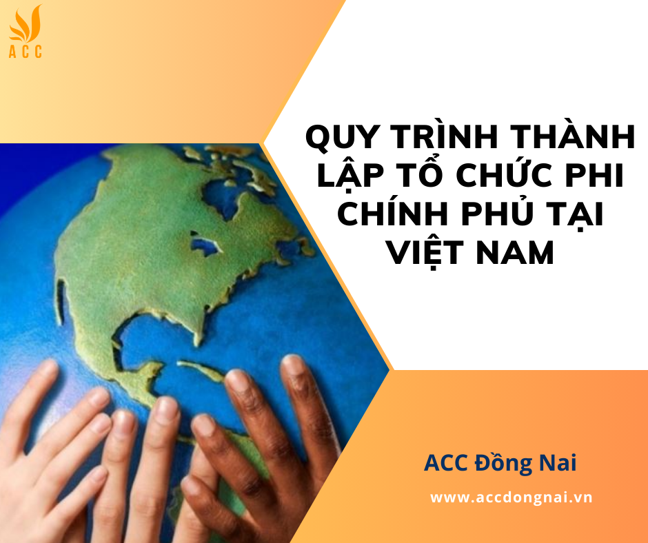 Quy trình thành lập tổ chức phi chính phủ tại Việt Nam
