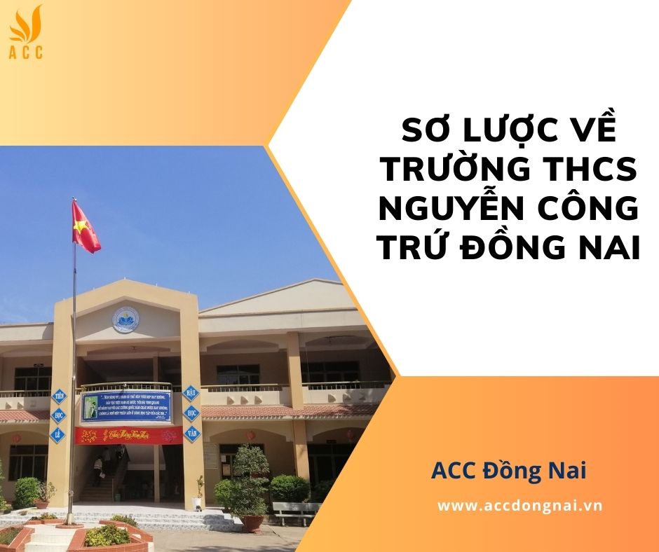 Sơ lược về trường THCS Nguyễn Công Trứ Đồng Nai