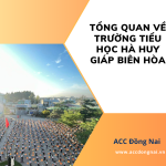 Tổng quan về trường tiểu học Hà Huy Giáp Biên Hòa