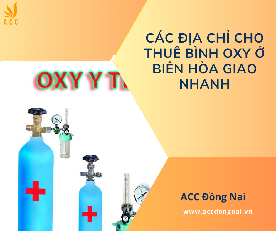 Các địa chỉ cho thuê bình oxy ở Biên Hòa giao nhanh