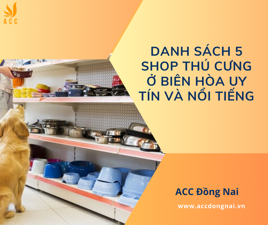Danh sách 5 shop thú cưng ở Biên Hòa uy tín và nổi tiếng