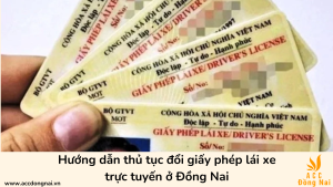 Hướng dẫn thủ tục đổi giấy phép lái xe trực tuyến ở Đồng Nai