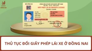 Thủ tục đổi giấy phép lái xe ở Đồng Nai