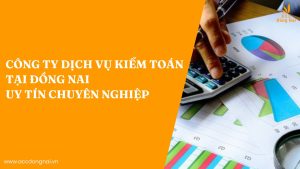 Công Ty Dịch Vụ Kiểm Toán Tại Đồng Nai Uy Tín | Chuyên Nghiệp