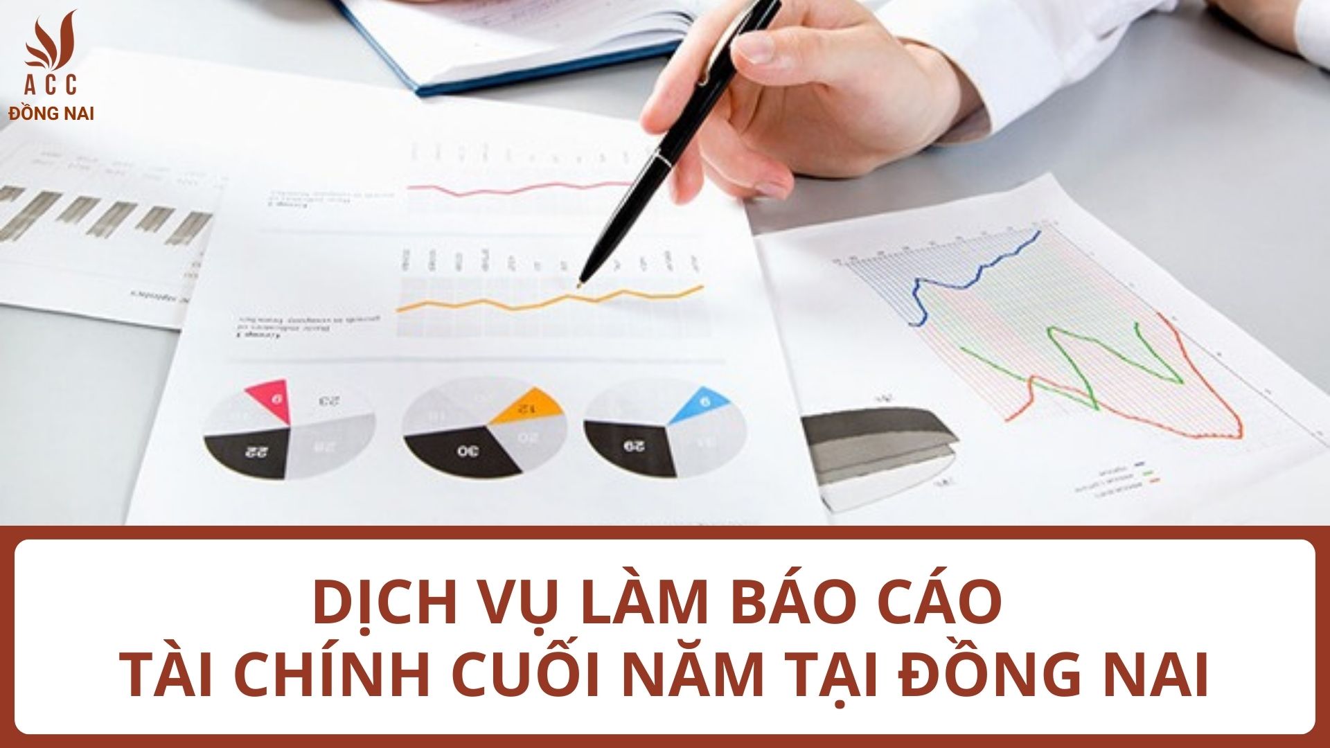 Dịch vụ làm báo cáo tài chính cuối năm trọn gói tại Đồng Nai