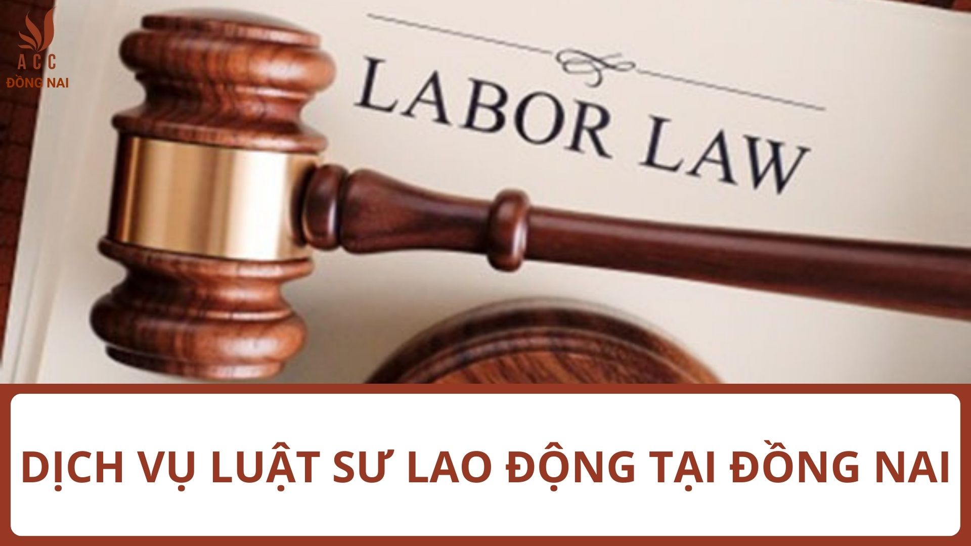 Dịch vụ luật sư lao động tại Đồng Nai