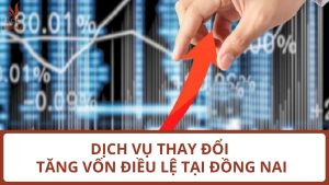 Dịch vụ thay đổi tăng vốn điều lệ tại Đồng Nai