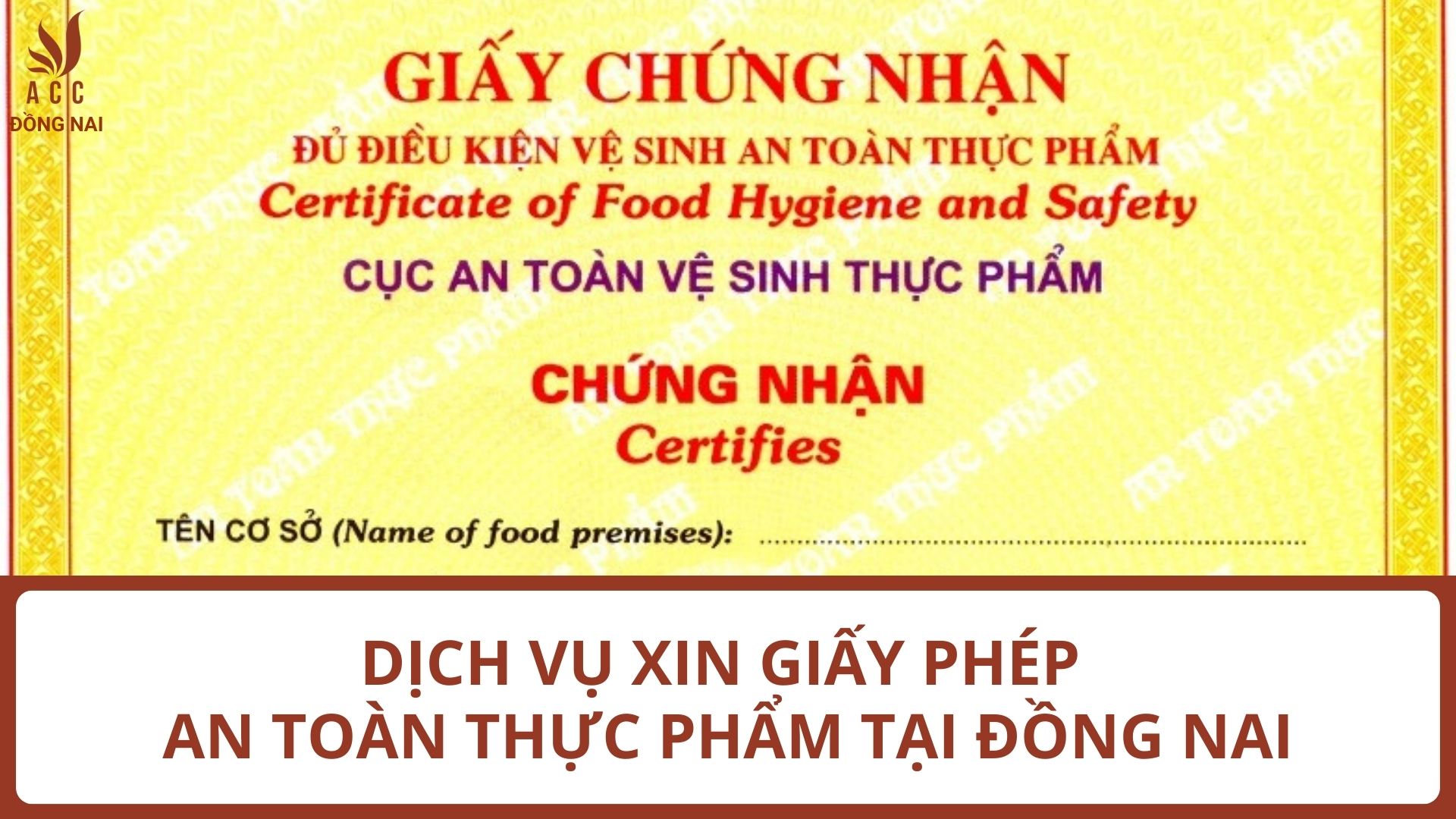 Dịch vụ xin giấy phép an toàn thực phẩm tại Đồng Nai uy tín