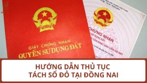 Hướng dẫn thủ tục tách sổ đỏ tại Đồng Nai theo quy định mới