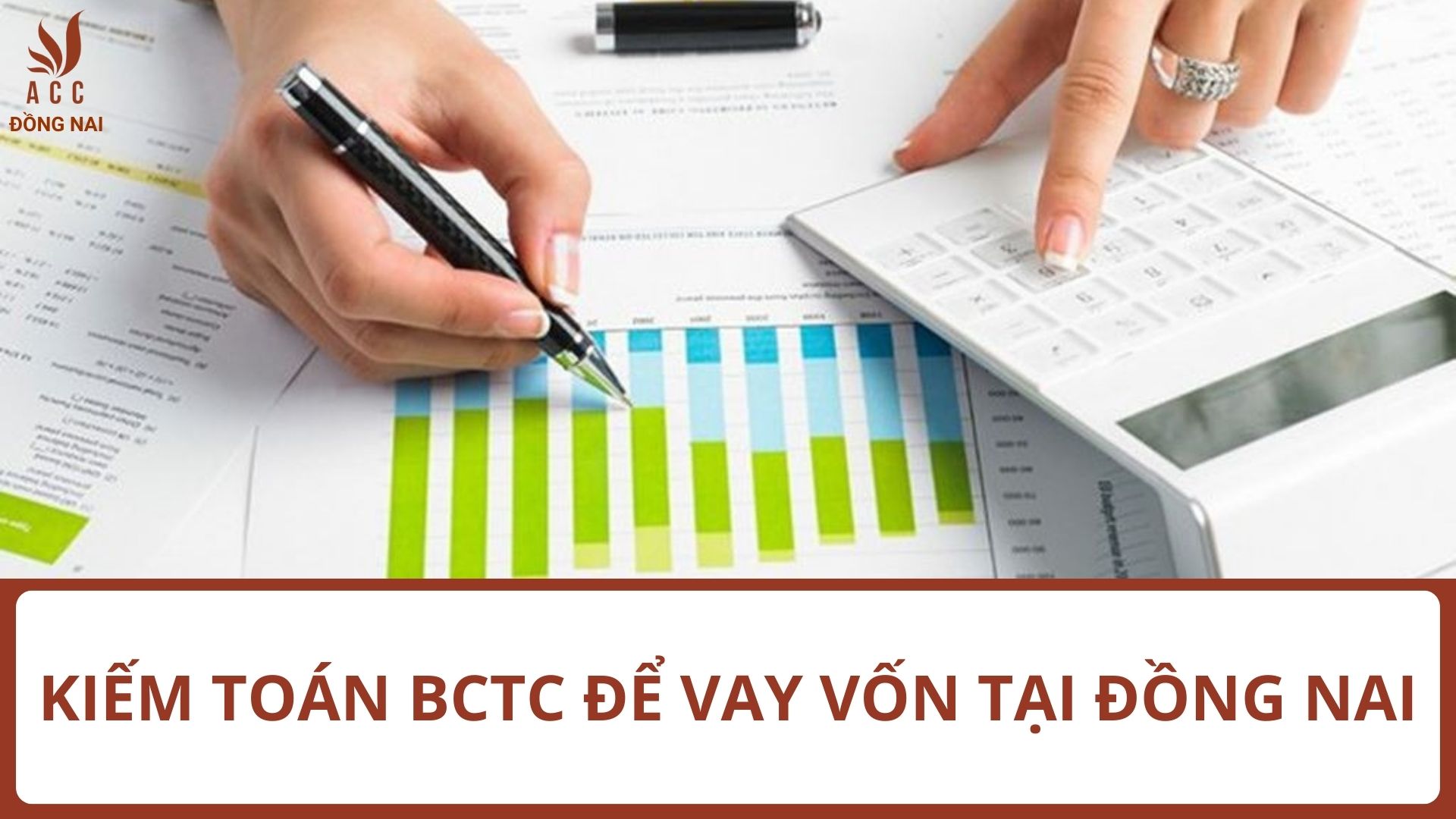 Kiếm Toán BCTC Để Vay Vốn tại Đồng Nai