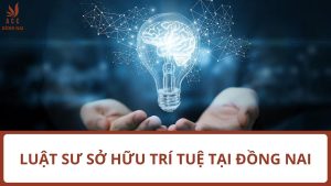 Luật Sư Sở Hữu Trí Tuệ tại Đồng Nai