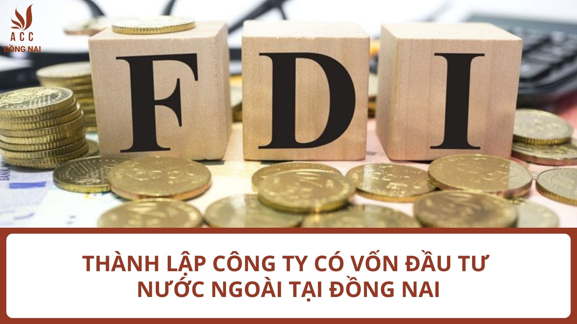 Thành lập công ty có vốn đầu tư nước ngoài tại Đồng Nai