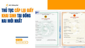 Thủ tục cấp lại giấy khai sinh tại Đồng Nai mới nhất