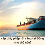 Xin cấp giấy phép rời cảng tại Đồng Nai như thế nào?