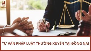 Dịch vụ tư vấn Pháp luật thường xuyên tại Đồng Nai