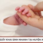 Dịch vụ giấy khai sinh nhanh tại Huyện Xuân Lộc