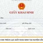 Dịch xin trích lục giấy khai sinh tại huyện Cẩm Mỹ