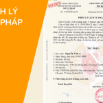 Bản dịch Lý lịch tư pháp số 1