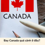 Bay Canada quá cảnh ở đâu?