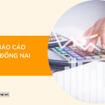 Dịch vụ báo cáo thuế tại Đồng Nai