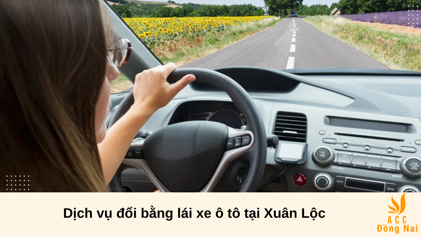 Dịch vụ đổi bằng lái xe ô tô tại Xuân Lộc