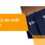 Những lý do mất hộ chiếu