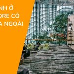 Quá cảnh ở Singapore có được ra ngoài không?