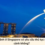 Quá cảnh ở Singapore có yêu cầu thủ tục nhập cảnh không?