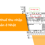 Cách tra thuế thu nhập cá nhân ở Nhật (Cập nhật 2024)