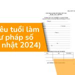 Bao nhiêu tuổi làm lý lịch tư pháp số 2 (Cập nhật 2024)