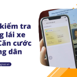 Cách kiểm tra bằng lái xe trên Căn cước công dân