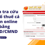 Cách tra cứu mã số thuế cá nhân online bằng CCCD/CMND