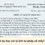 Đi du học xin lý lịch tư pháp số mấy?