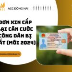 Đơn xin cấp lại Căn cước công dân bị mất (Mới 2024)