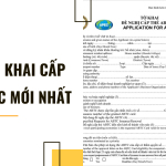 Mẫu tờ khai cấp thẻ APEC mới nhất