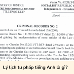 Lý lịch tư pháp tiếng Anh là gì?