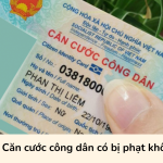 Mất Căn cước công dân có bị phạt không?