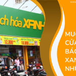 Muốn mở cửa hàng bách hóa xanh cần những gì?