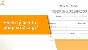 Phiếu lý lịch tư pháp số 2 là gì?