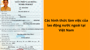 Các hình thức làm việc của lao động nước ngoài tại Việt Nam