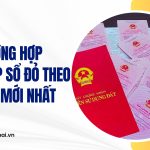 Các trường hợp được cấp sổ đỏ theo quy định mới nhất