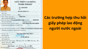 Các trường hợp thu hồi giấy phép lao động người nước ngoài