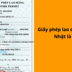 Giấy phép lao động tiếng Nhật là gì