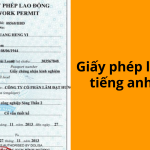 Giấy phép lao động tiếng anh là gì?